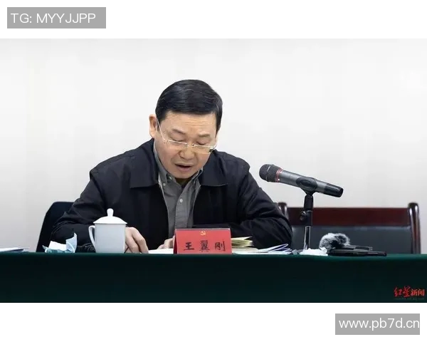 成都羽毛球队转型之路的得与失分析与展望