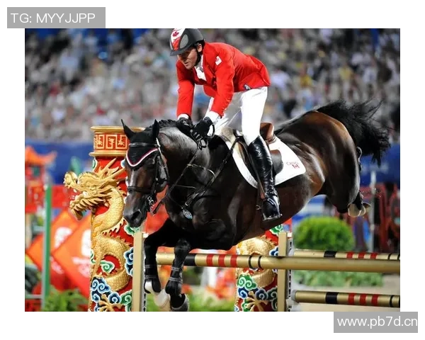 全球瞩目体育赛事大汇聚，激烈角逐展现巅峰竞技魅力